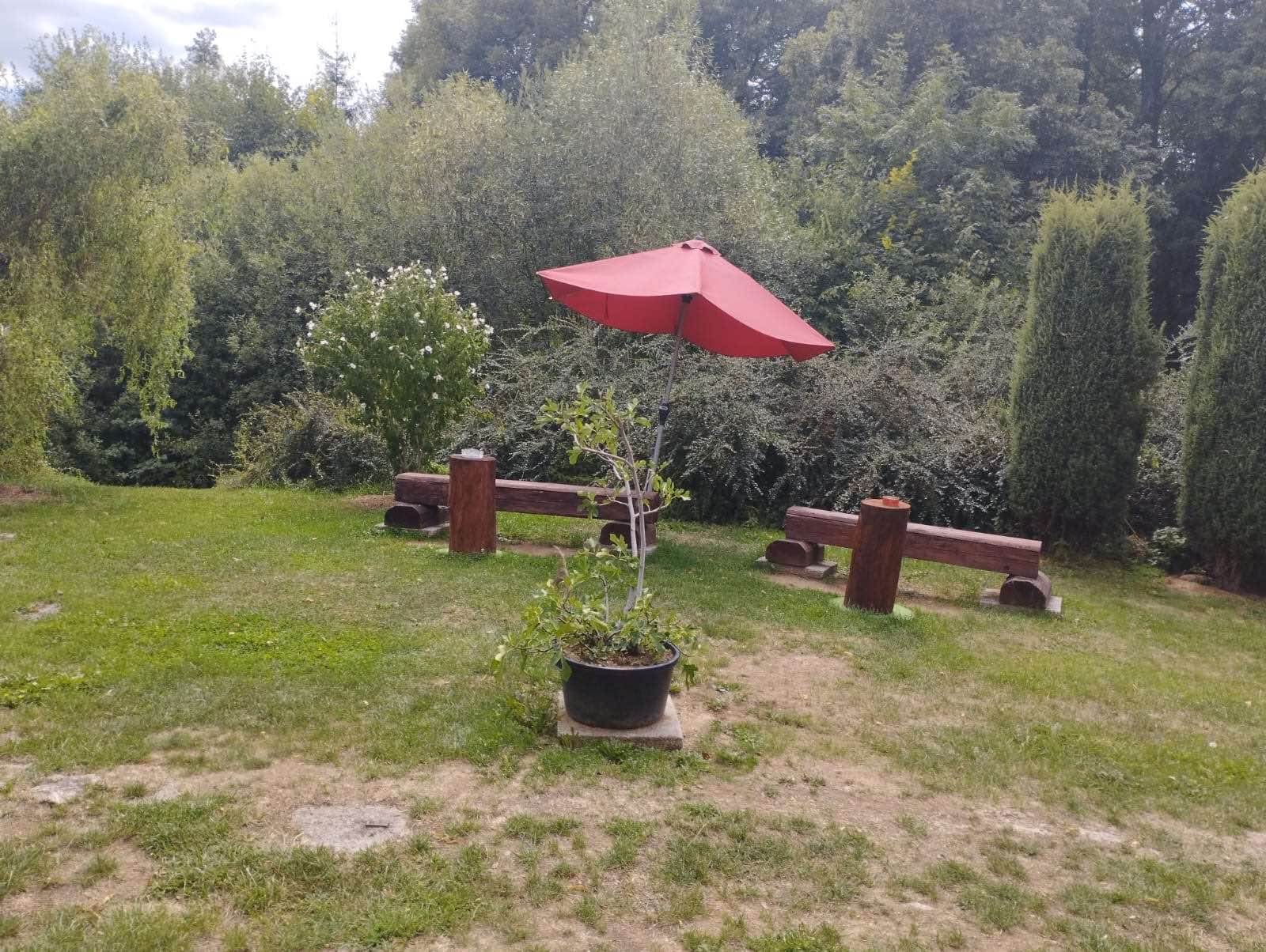 Nový domov 353 - Benešov nad Černou - 10